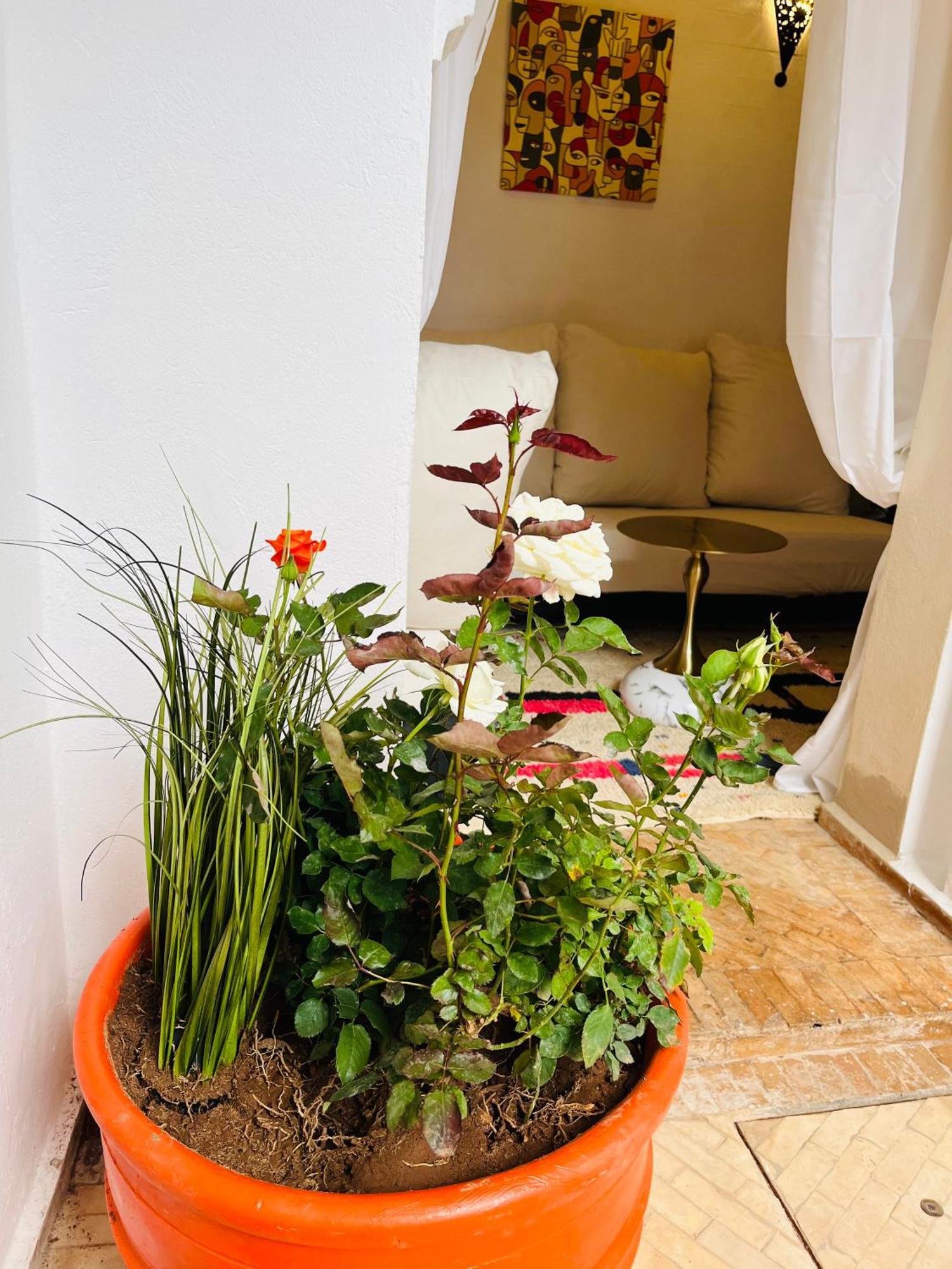 Riad Darna 4 Chambres Avec Piscine Et Petit Dejeuner Маракеш Екстериор снимка